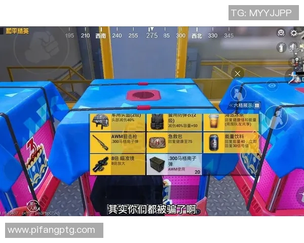 从零起步：全面解析和平精英游戏技巧与策略攻略MBA