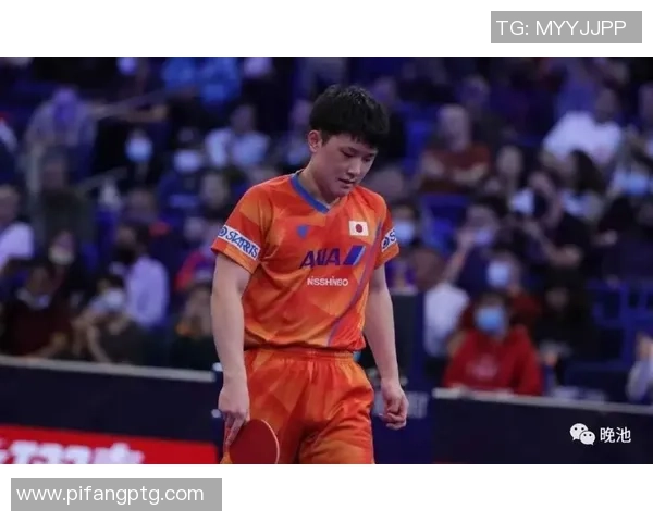 张本智和与波尔精彩对决全场回顾与分析